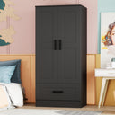 C111 - 2 Doors Engineered Wood Wardrobe