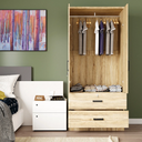 NW 108 - Mirrored 2 Door Wardrobe & 2 Drawers